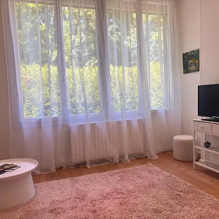 Spacieux Muguet Proche Thermes Daire Vittel